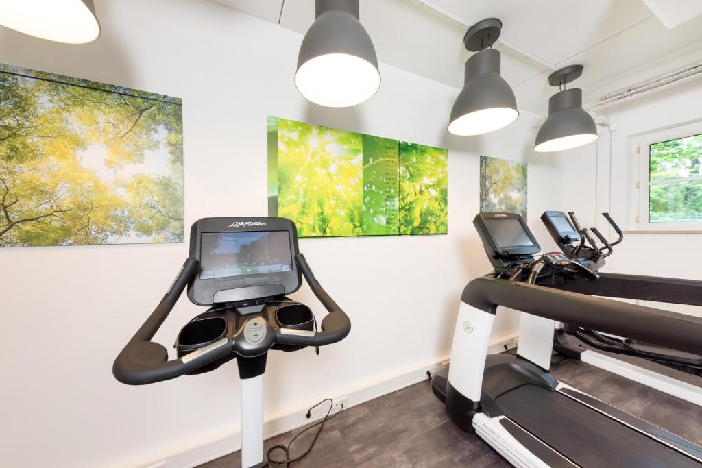 Fitness centrum a/nebo fitness zařízení v ubytování Hotel Alarun