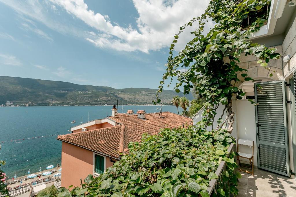 a building with a view of the water at Boka Apartment 4 in Herceg-Novi