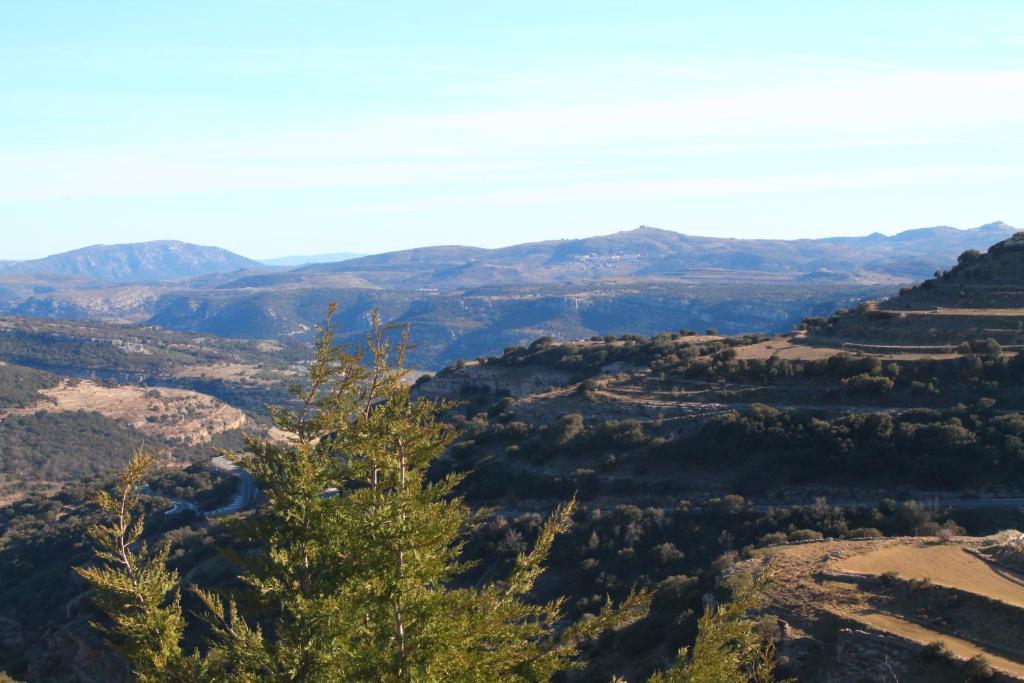 Príroda v okolí apartmánu