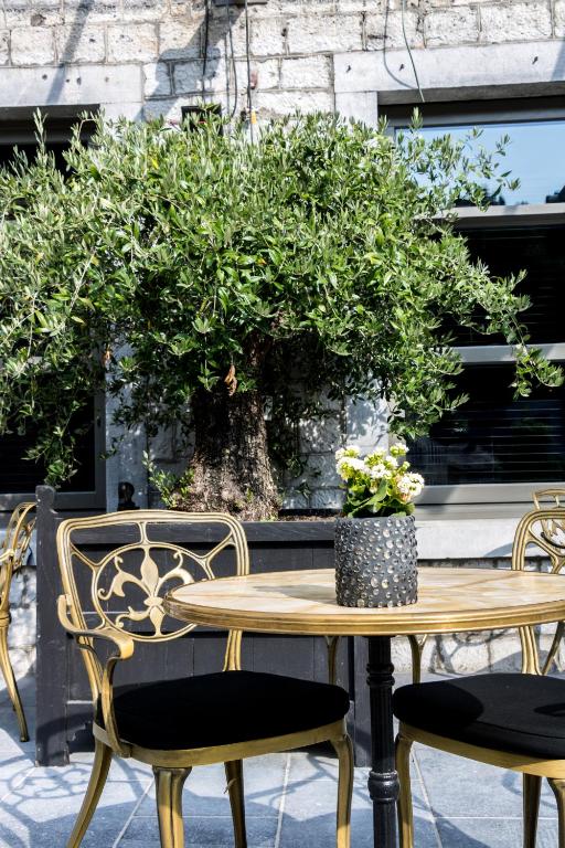 Zahrada ubytování Hotel Sanglier