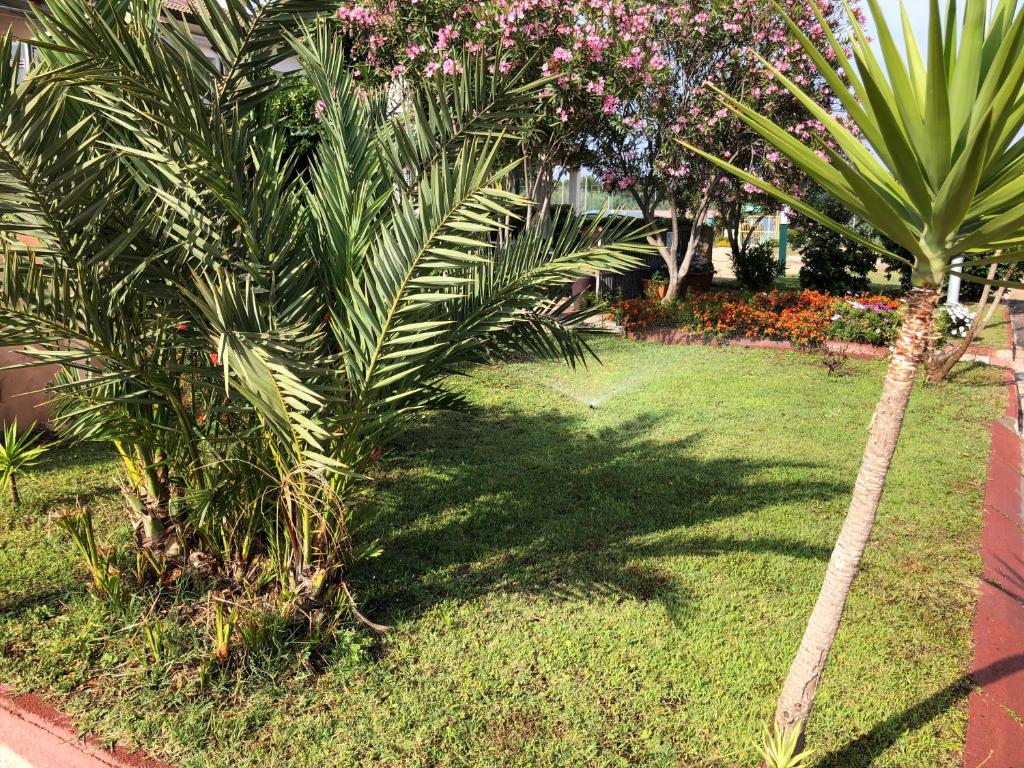 A garden outside DaCapo Rooms
