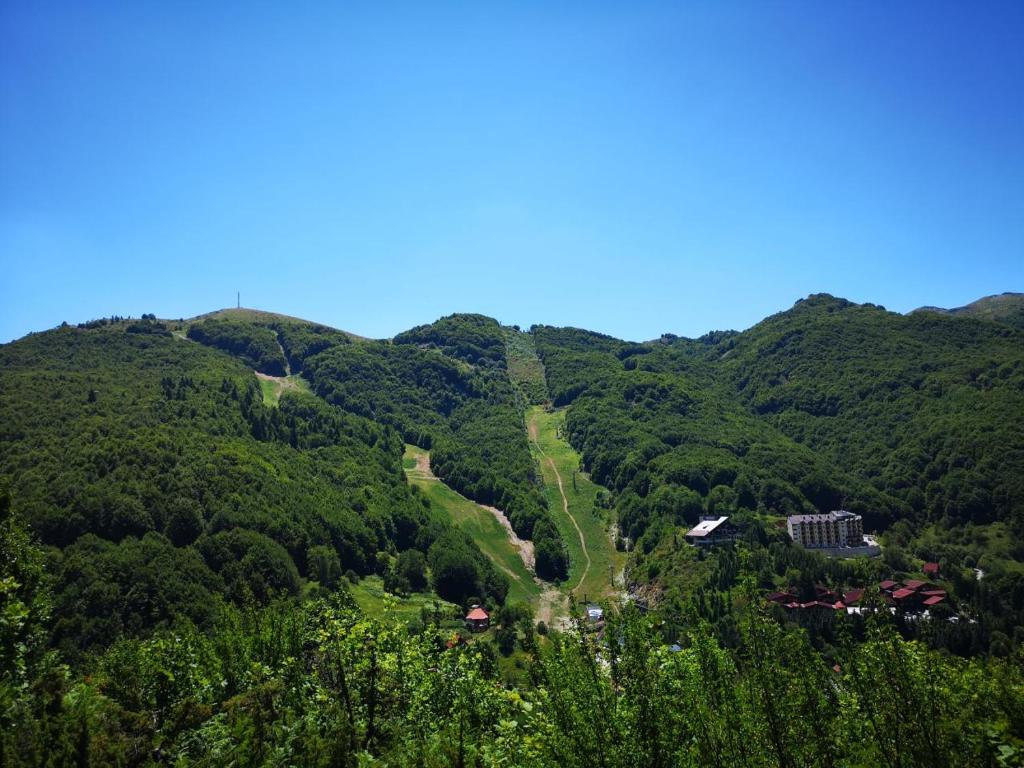Příroda nedaleko apartmánu