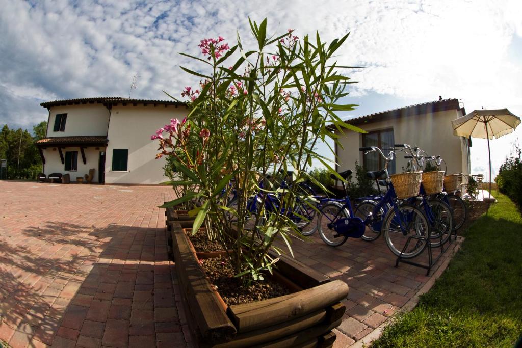 Budova, kde se the country house nachází