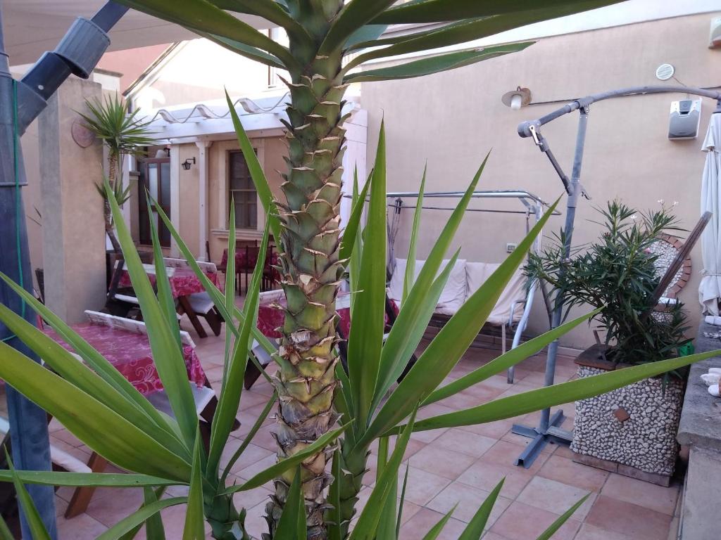 Vonkajšia záhrada v ubytovaní B&B Vico Vacanze