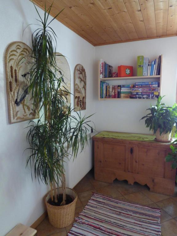 Knihovna v apartmánu
