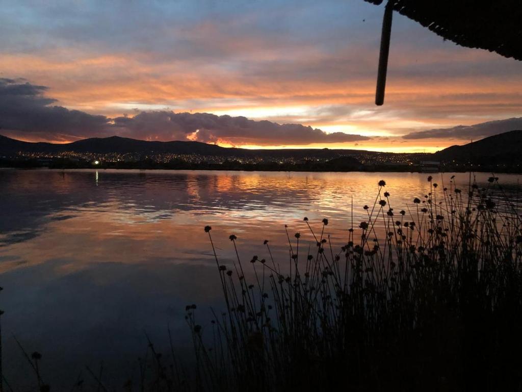 Paesaggio naturale nelle vicinanze della stanza in casa privata