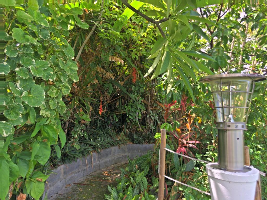 Zahrada ubytování Résidence Paradis Tropical