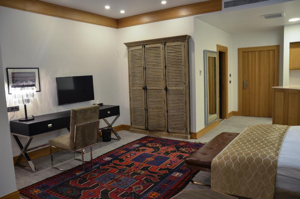 TV a/nebo společenská místnost v ubytování Shirvanshah Hotel