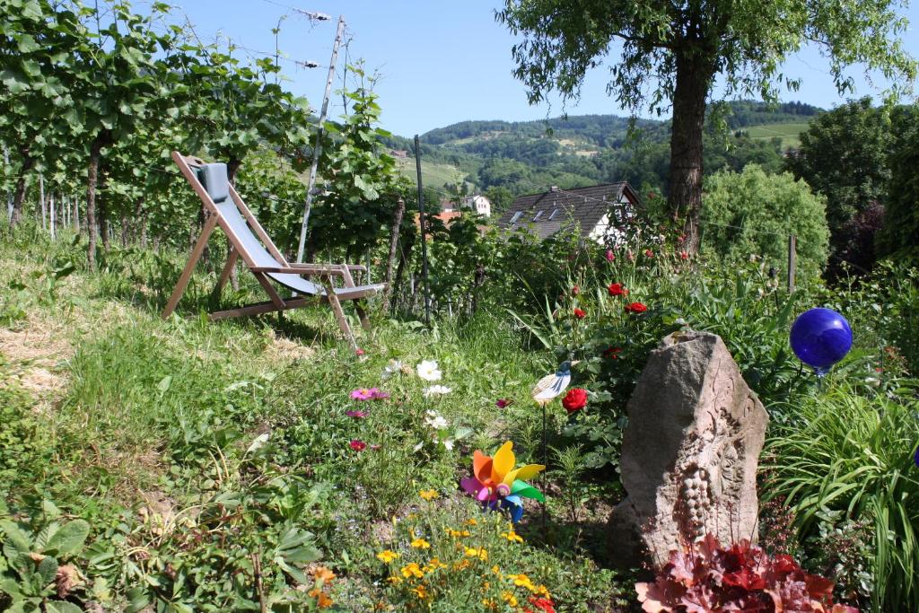 Zahrada ubytování Pension am Weinberg