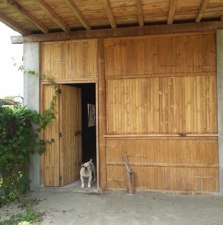 Domácí mazlíčci ubytovaní s hosty v ubytování Hostal Camping Sin Fronteras Mompiche