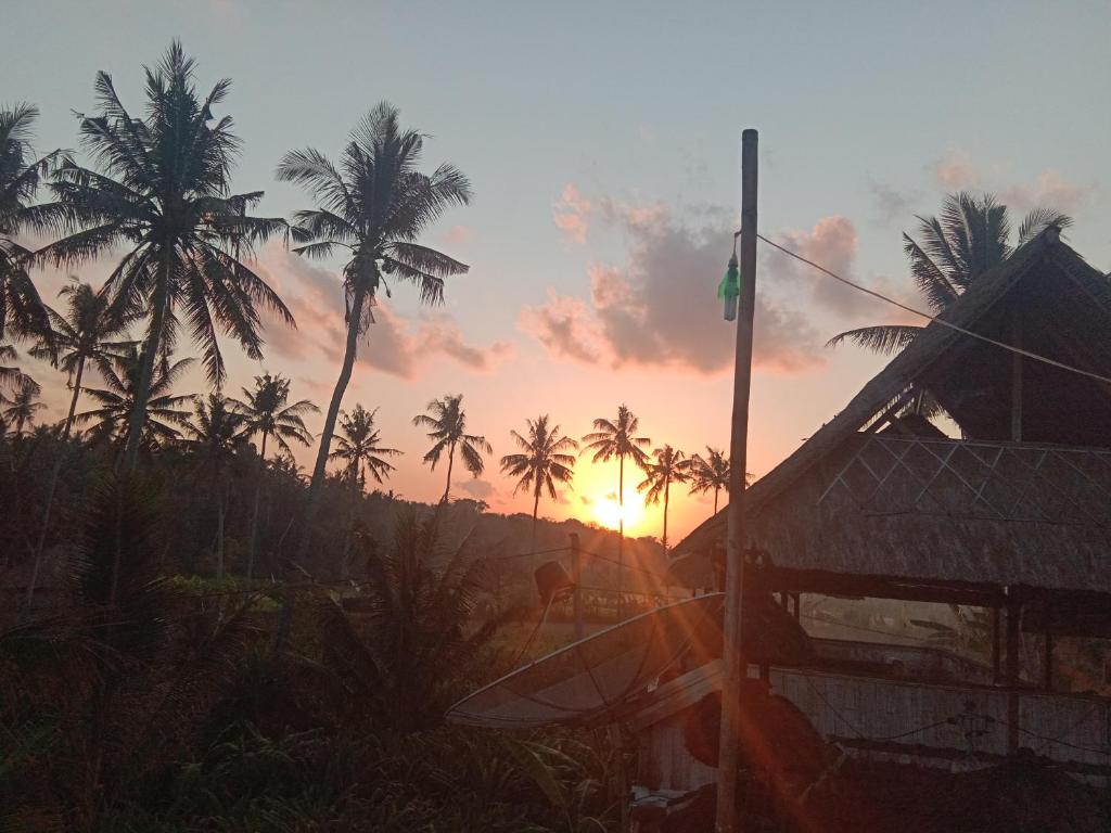 una puesta de sol con palmeras y una casa con bandera en Pondok Diana, en Jasri