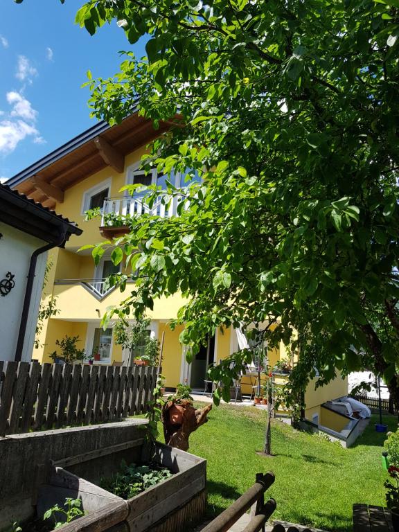 Zahrada ubytování Appartement Königslehen