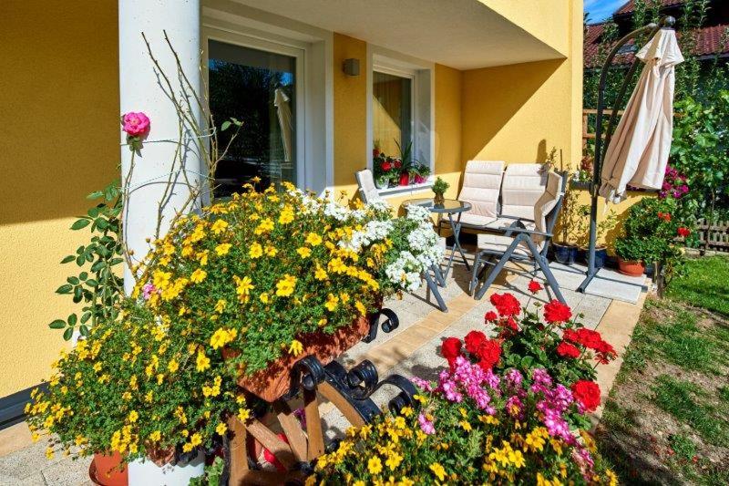 Zahrada ubytování Appartement Königslehen