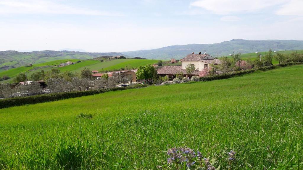 Ariano Irpino