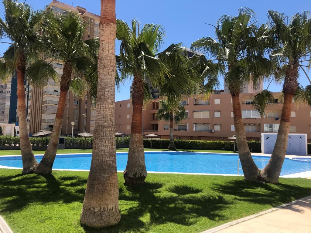 eine Reihe von Palmen vor einem Gebäude in der Unterkunft Playa Valencia Residencial Sol y Mar Terraza con Vistas y Parking in Playa Pobla de Farnals