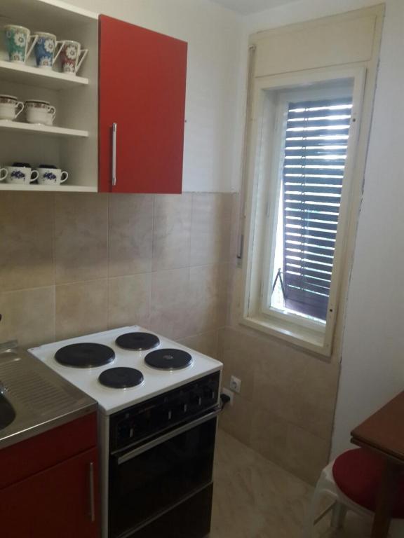 Kuchyň nebo kuchyňský kout v ubytování Apartmani Centar Banja Vrujci