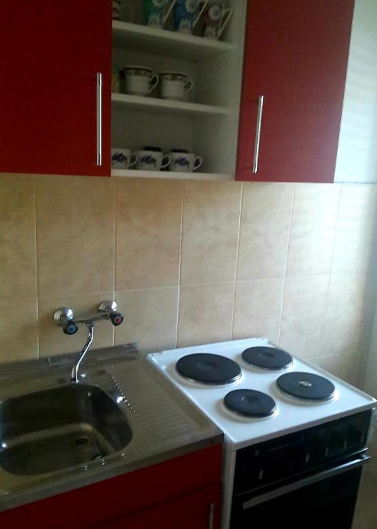 Kuchyň nebo kuchyňský kout v ubytování Apartmani Centar Banja Vrujci