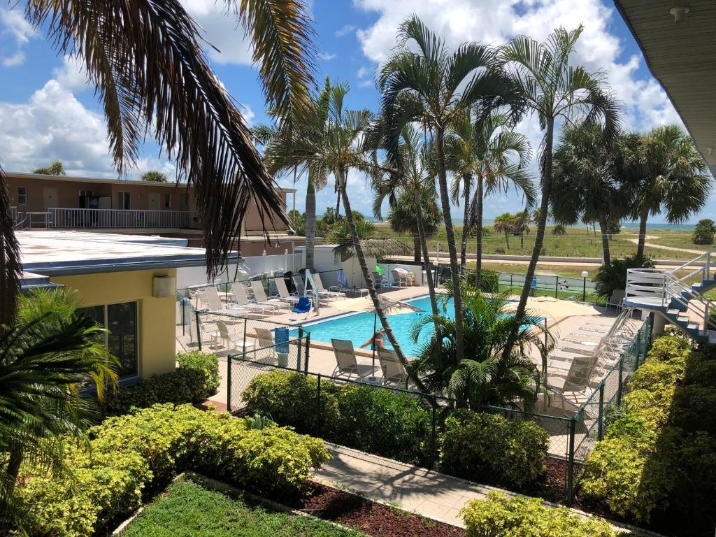 Blick auf den Pool des Resorts mit Palmen in der Unterkunft Arvilla Motel in St Pete Beach