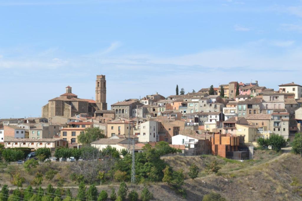 une ville au sommet d'une colline avec des maisons dans l'établissement Cal Campana, à Gratallops