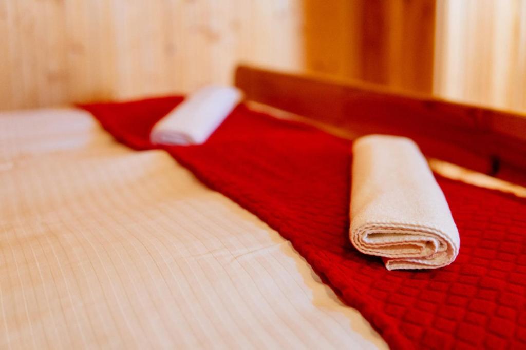 Postel nebo postele na pokoji v ubytování Chata Magurka