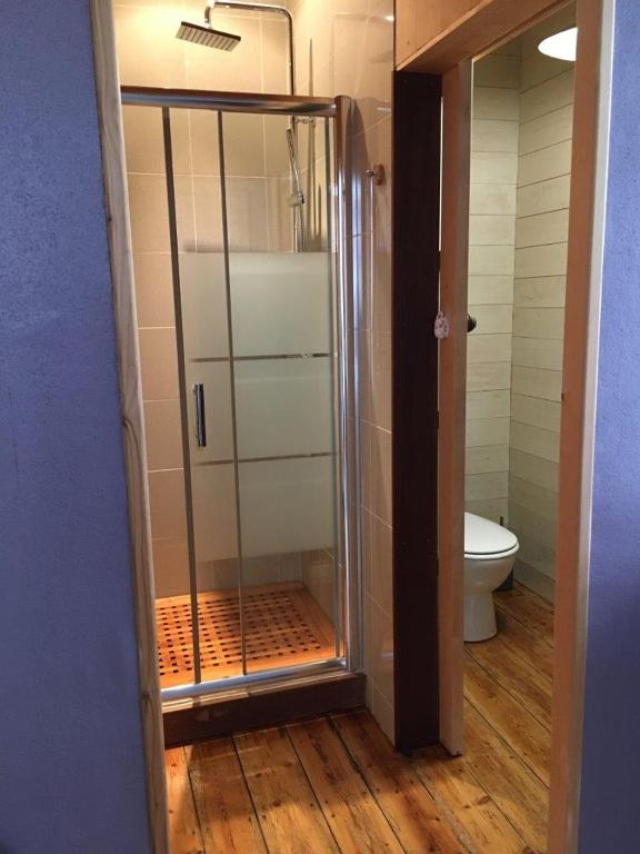 a bathroom with a shower with a toilet in it at Tilleuls et Bambous in Saint-Sauveur-dʼAunis