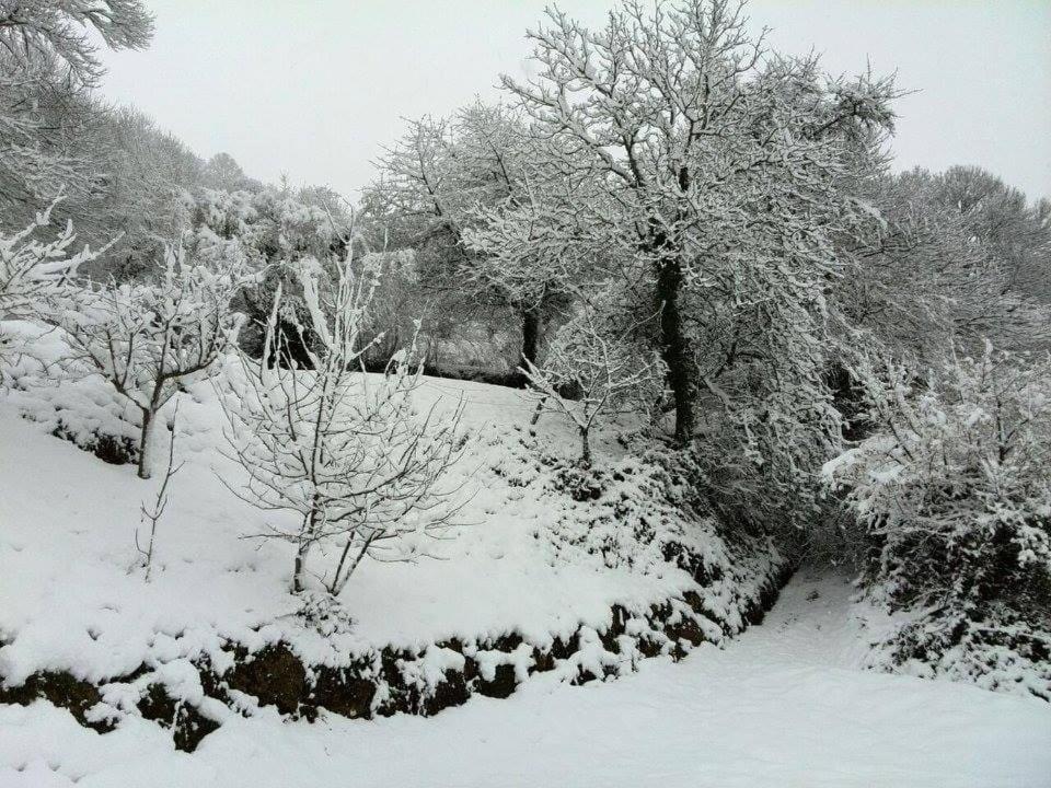 Casa Gloria en invierno