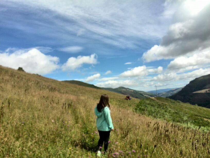 Paisaje cerca of this country house