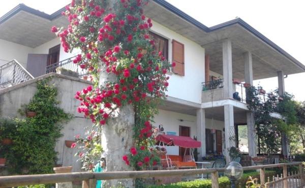 un arbre avec des fleurs rouges devant une maison dans l'établissement Le Tre Bandiere, à Puegnago