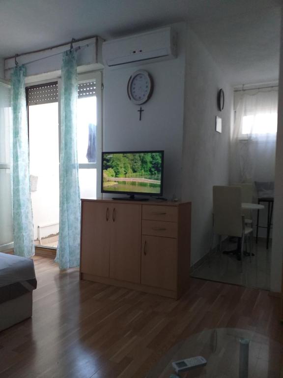 TV a/nebo společenská místnost v ubytování Studio Apartment Ema