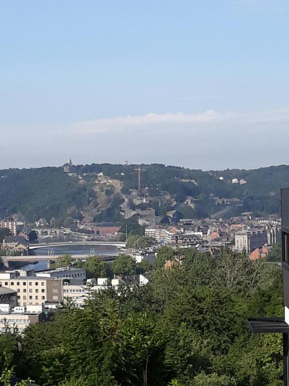 BougeにあるBed vue sur vallée de la Meuse Namurの建物や木々が並ぶ市街の景色