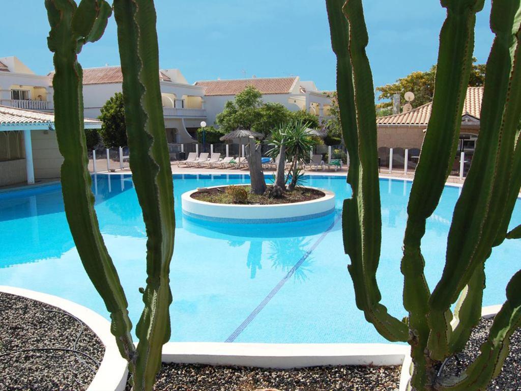 Luxury 2-Bedrooms Villa - Golf del Sur, The Palms Resort, San Miguel de  Abona – Updated 2023 Prices