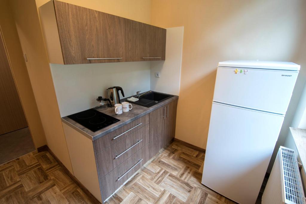 Kuchyňa alebo kuchynka v ubytovaní 4family *RESORT*SPA*