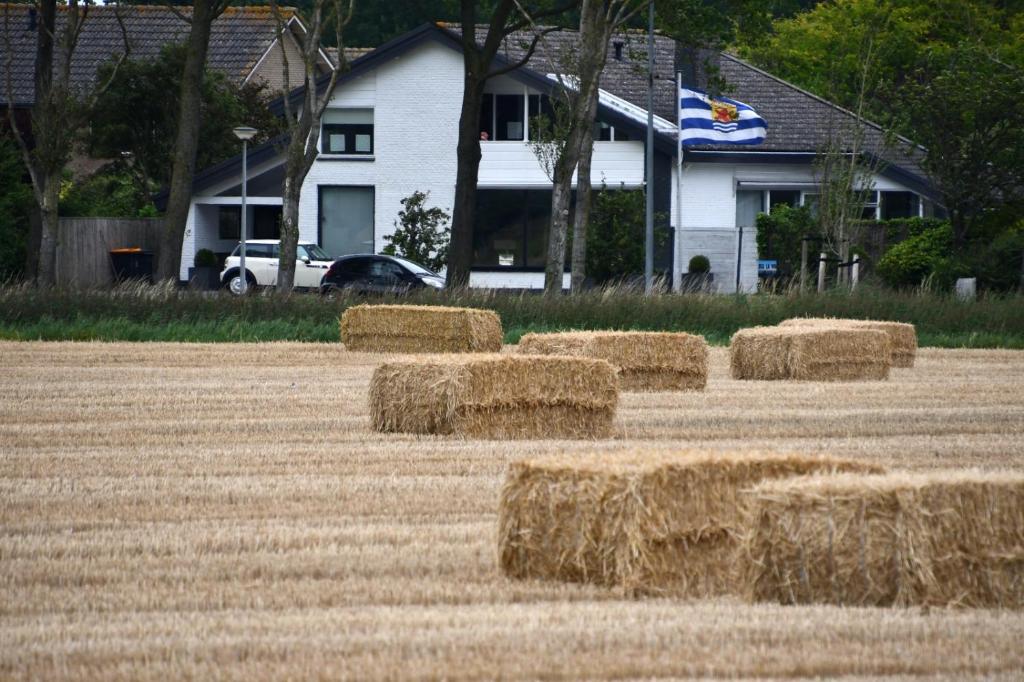 a group of hay bales in a field in front of a house at Sea la vie in Vlissingen