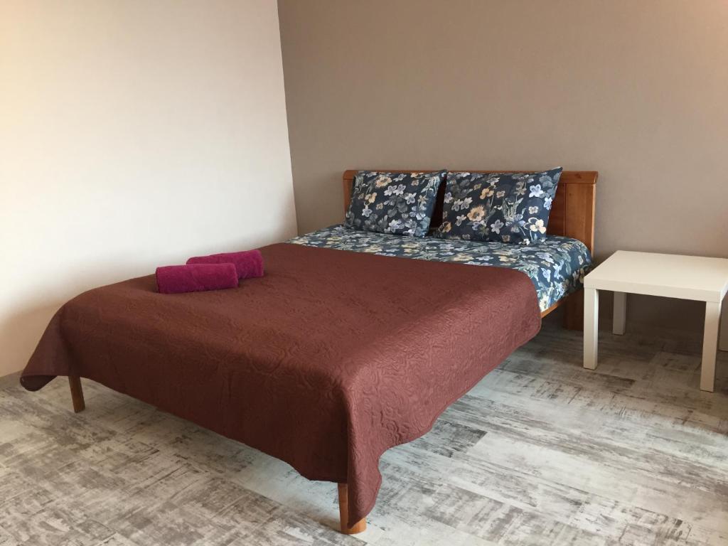 a bed and a couch in a room at Cat Garden Deluxe Apartments Riga in Rīga