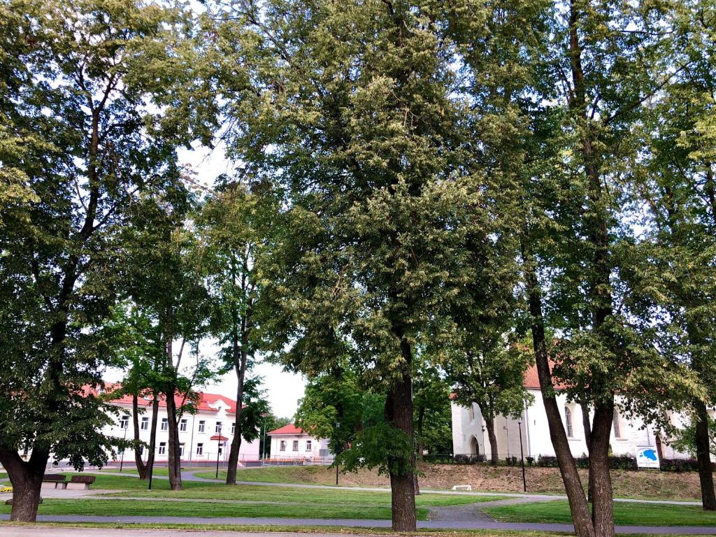 Zahrada ubytování Apartments Kohtla-Jarve