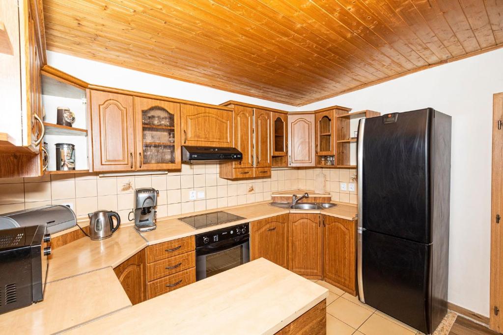 Kuchyň nebo kuchyňský kout v ubytování Apartmány Pod Řípem