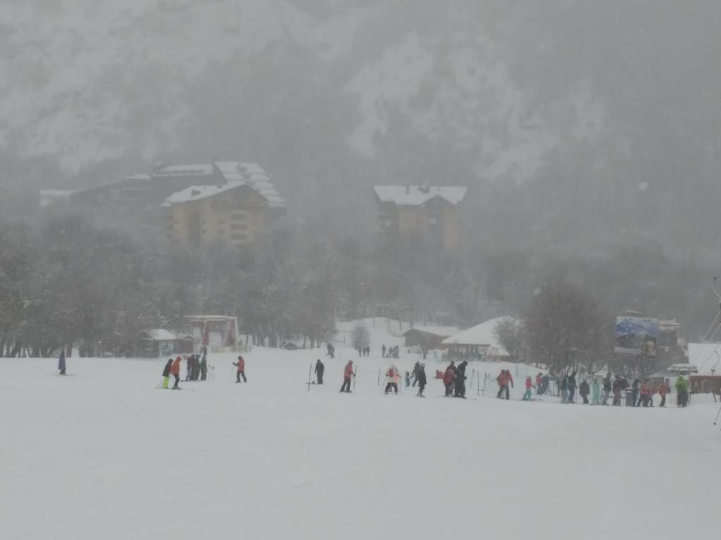 Bosque Nevado v zimě
