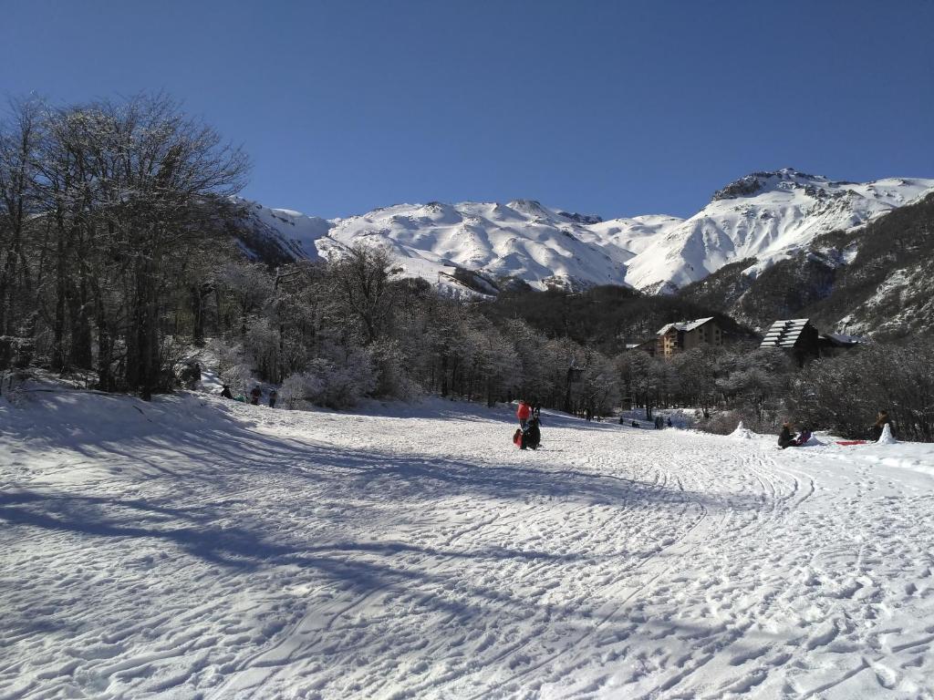 Bosque Nevado v zimě
