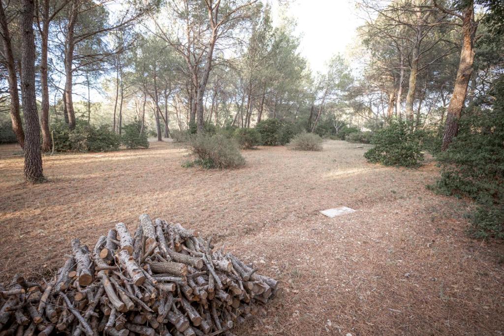 a pile of wood on the ground in a park at Le Clos Zinou in Lambesc
