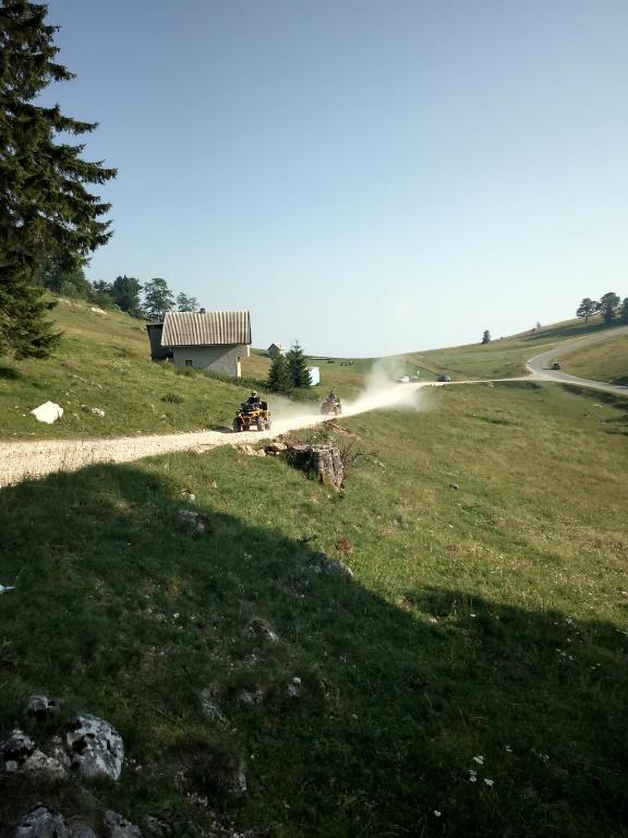 a group of people in a field with a hose at Apartments A Vlasic in Vlasic