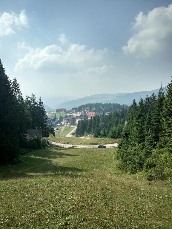 a field of grass with a road in the distance at Apartments A Vlasic in Vlasic