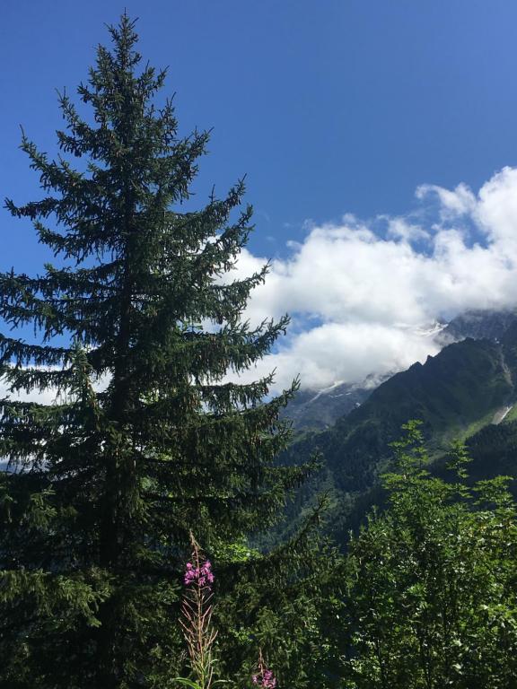Gallery image of Les Pierres Blanches Mont Blanc in Les Contamines-Montjoie