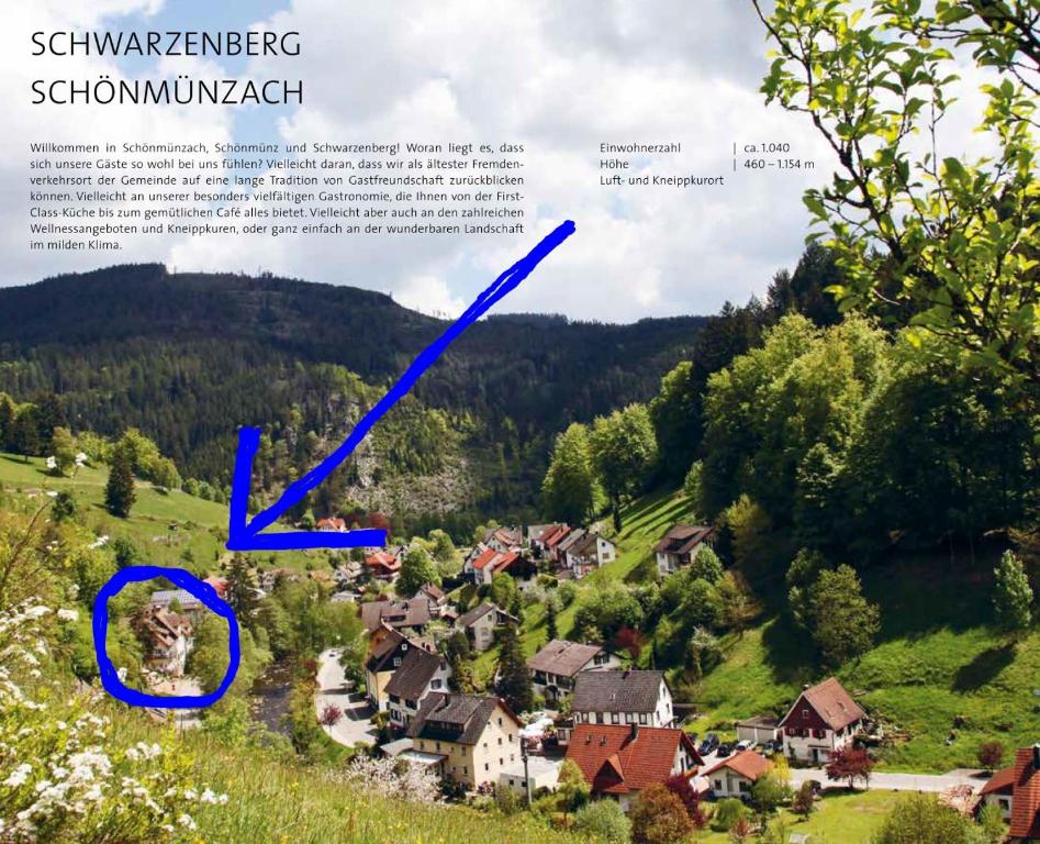 an aerial view of a village in the hills at Adieu Alltag: Pension Oesterle im Schwarzwald in Schönmünzach