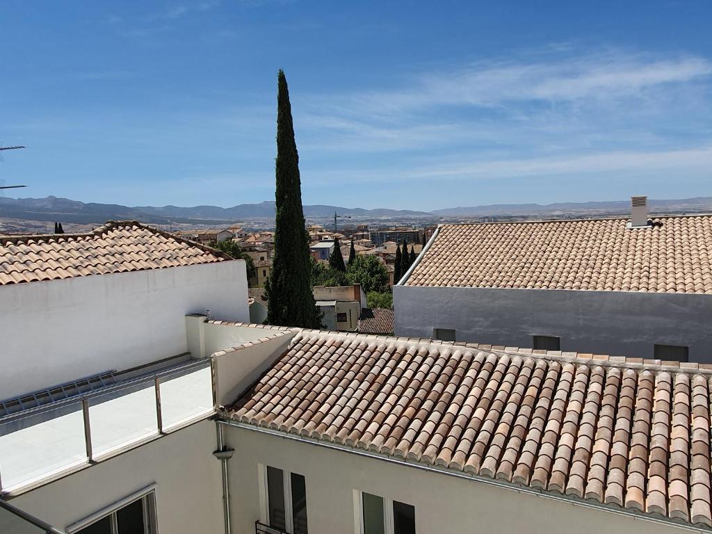 ecoSmart Apartments Granada - 18