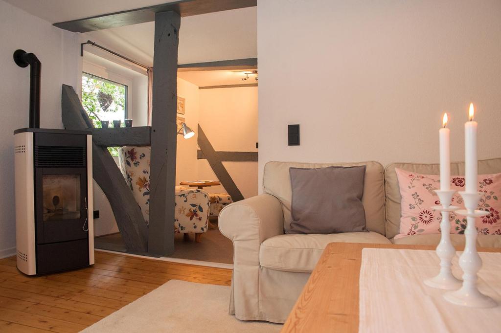 ein Wohnzimmer mit einem Sofa und einem Kamin in der Unterkunft Ferienwohnung Sonnentau 1 in Holzminden