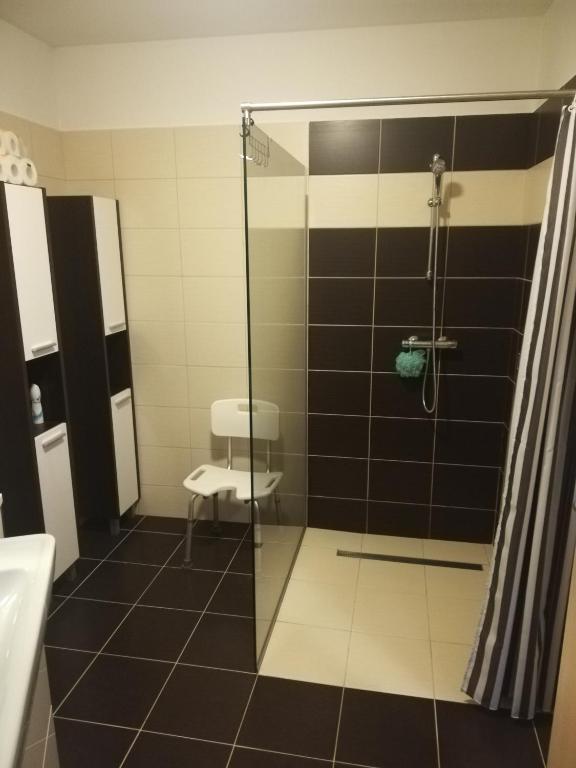 Koupelna v ubytování Apartmány pod Divadlem