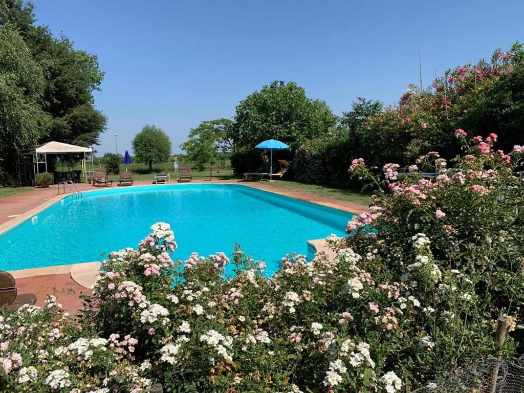 a swimming pool with a bunch of flowers around it at Bordeghina B&B In Farmhouse in Pontecchio Polesine