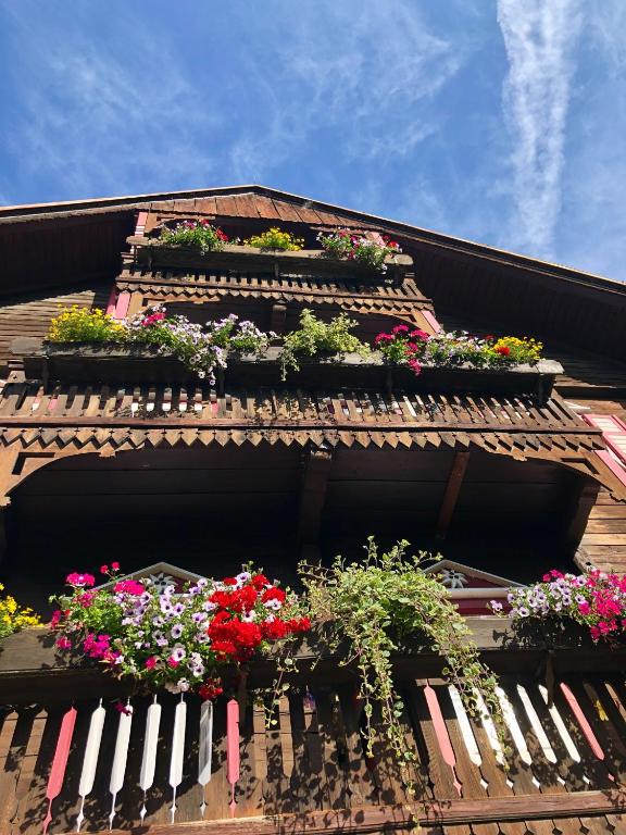 Zahrada ubytování Villa Brandstätter