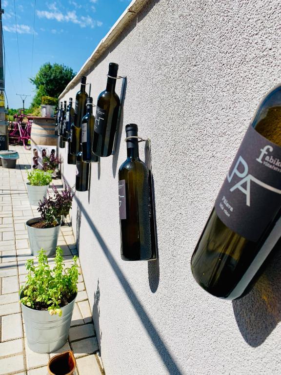 Ogród w obiekcie Penzion Vinařství Fabikovič