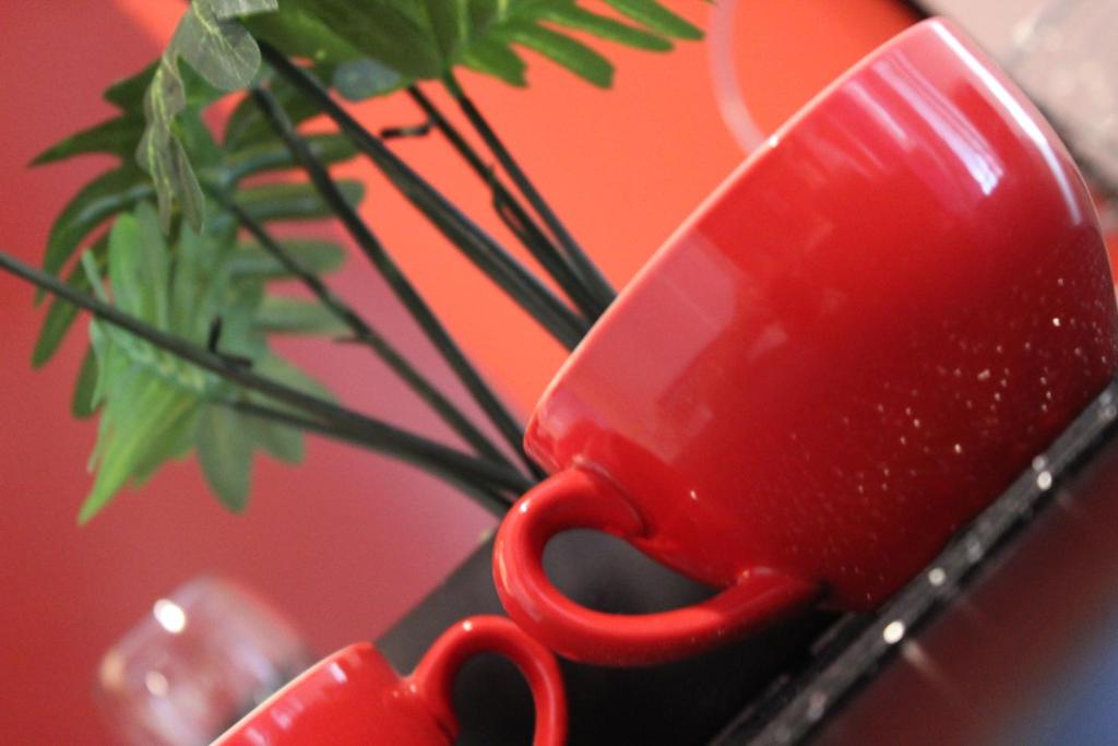 Posedenie v ubytovaní FLAMINGOS Apartman & Fitness centar OSIJEK - blizina Bolnice KBC Osijek
